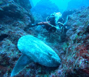 DCIM100GOPROGOPR4199.JPG