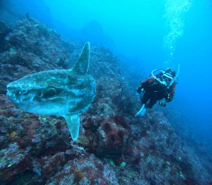 DCIM100GOPROGOPR4232.JPG