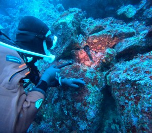 DCIM100GOPROGOPR4242.JPG