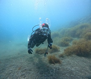 DCIM100GOPROGOPR4436.JPG