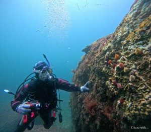 DCIM100GOPROGOPR4477.JPG