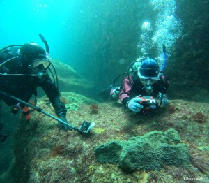 DCIM100GOPROGOPR4478.JPG