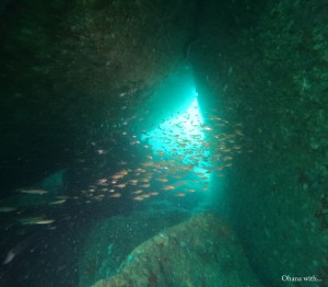 DCIM100GOPROGOPR4499.JPG