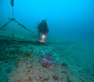 DCIM100GOPROGOPR4529.JPG