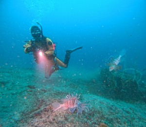 DCIM100GOPROGOPR4535.JPG