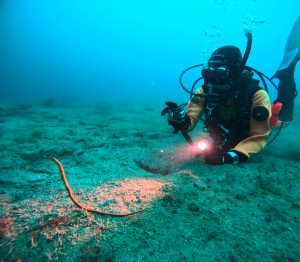 DCIM100GOPROGOPR4544.JPG