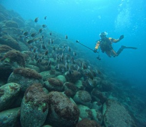 DCIM100GOPROGOPR4549.JPG