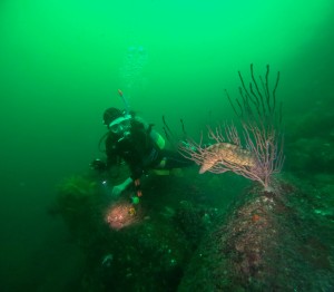 DCIM100GOPROGOPR4573.JPG