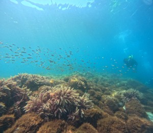 DCIM100GOPROGOPR4646.JPG