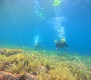 DCIM100GOPROGOPR4649.JPG