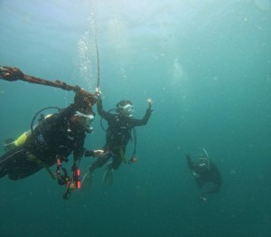 DCIM100GOPROGOPR4656.JPG
