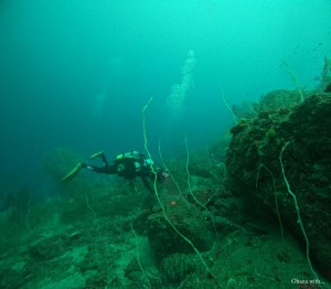 DCIM100GOPROGOPR4706.JPG