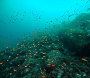 DCIM100GOPROGOPR4709.JPG