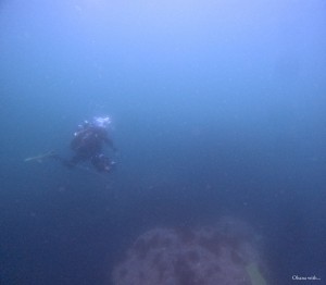 DCIM100GOPROGOPR4710.JPG