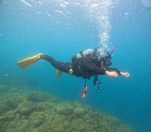 DCIM100GOPROGOPR4777.JPG