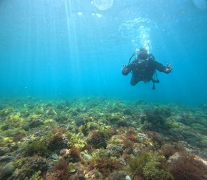 DCIM100GOPROGOPR4813.JPG