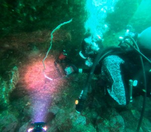 DCIM100GOPROGOPR4824.JPG