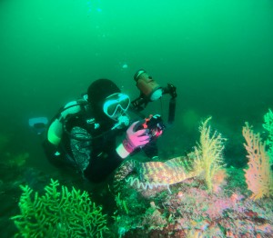 DCIM100GOPROGOPR4828.JPG