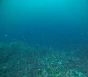 DCIM100GOPROGOPR4845.JPG