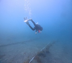 DCIM100GOPROGOPR4873.JPG