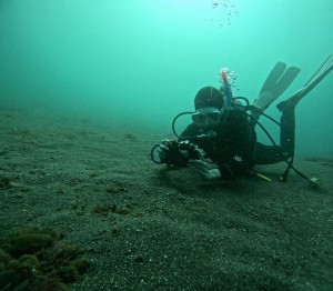 DCIM100GOPROGOPR4884.JPG