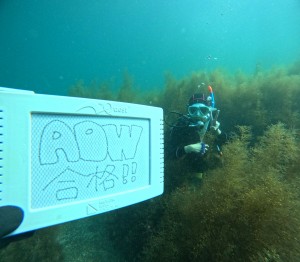 DCIM100GOPROGOPR4886.JPG