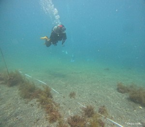 DCIM100GOPROGOPR4934.JPG