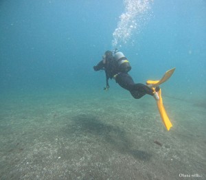 DCIM100GOPROGOPR4940.JPG