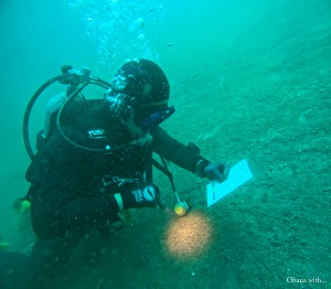 DCIM100GOPROGOPR4962.JPG