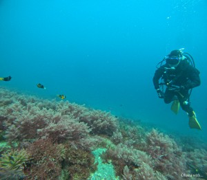 DCIM100GOPROGOPR4989.JPG