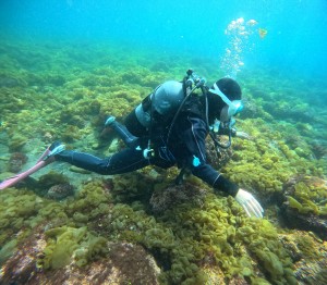DCIM100GOPROGOPR8287.JPG