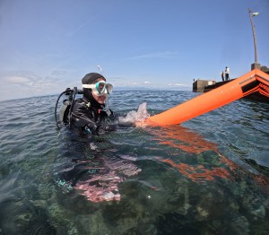 DCIM100GOPROGOPR8278.JPG