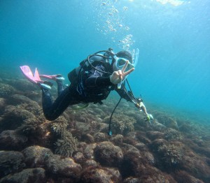 DCIM100GOPROGOPR8300.JPG
