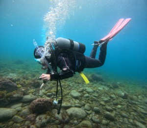 DCIM100GOPROGOPR8315.JPG
