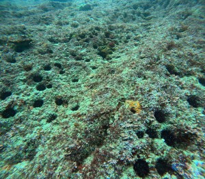 DCIM100GOPROGOPR8322.JPG