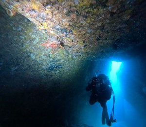 DCIM100GOPROGOPR8337.JPG