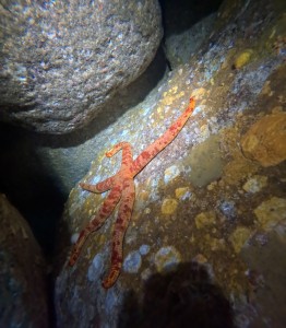 DCIM100GOPROGOPR8346.JPG