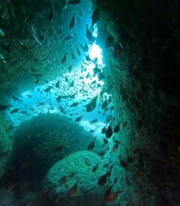 DCIM100GOPROGOPR8368.JPG