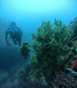 DCIM100GOPROGOPR8370.JPG