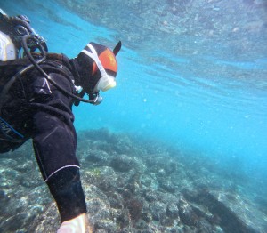 DCIM100GOPROGOPR8428.JPG