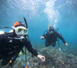 DCIM100GOPROGOPR8429.JPG