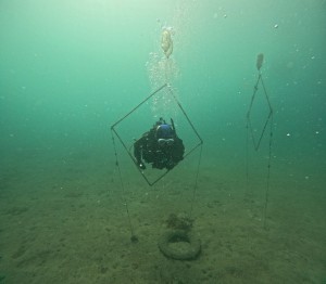 DCIM100GOPROGOPR8496.JPG