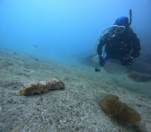 DCIM100GOPROGOPR8497.JPG
