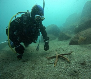DCIM100GOPROGOPR8504.JPG