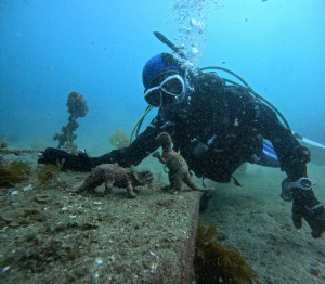 DCIM100GOPROGOPR8507.JPG