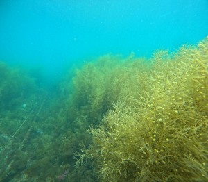 DCIM100GOPROGOPR8517.JPG
