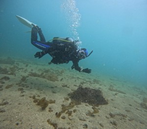 DCIM100GOPROGOPR8539.JPG