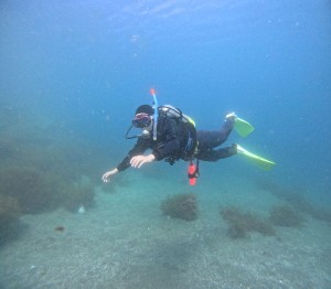 DCIM100GOPROGOPR8550.JPG