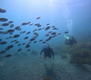 DCIM100GOPROGOPR8555.JPG
