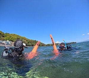 DCIM100GOPROGOPR8561.JPG